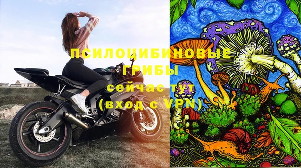 амф Алзамай