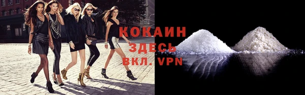 стаф Абинск
